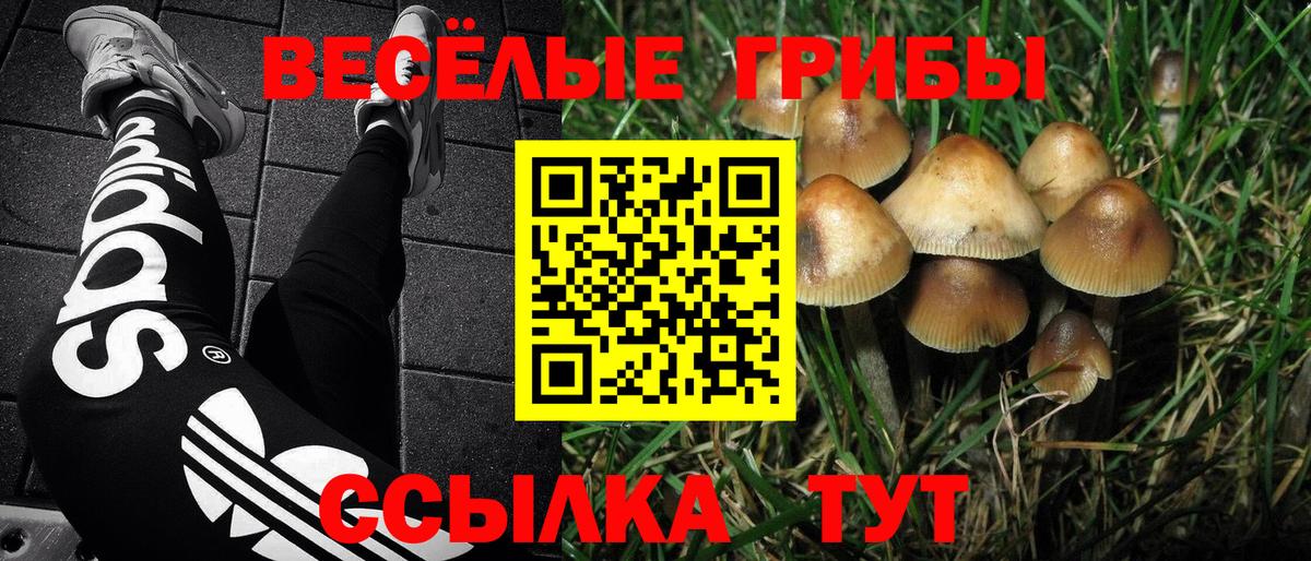 Псилоцибиновые грибы Magic Shrooms  Псилоцибиновые грибы мухоморы  Вход с VPN  Лангепас 