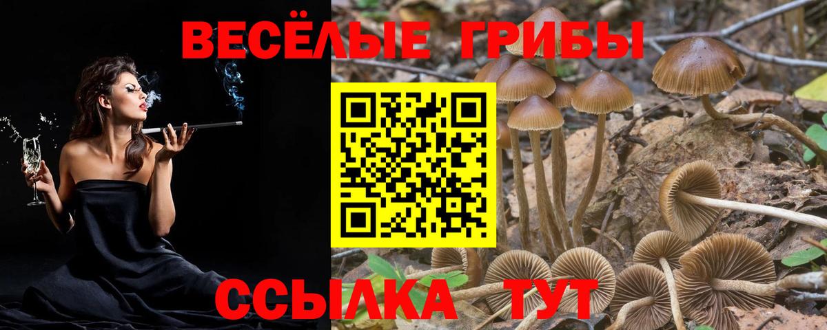 Псилоцибиновые грибы мухоморы Лангепас